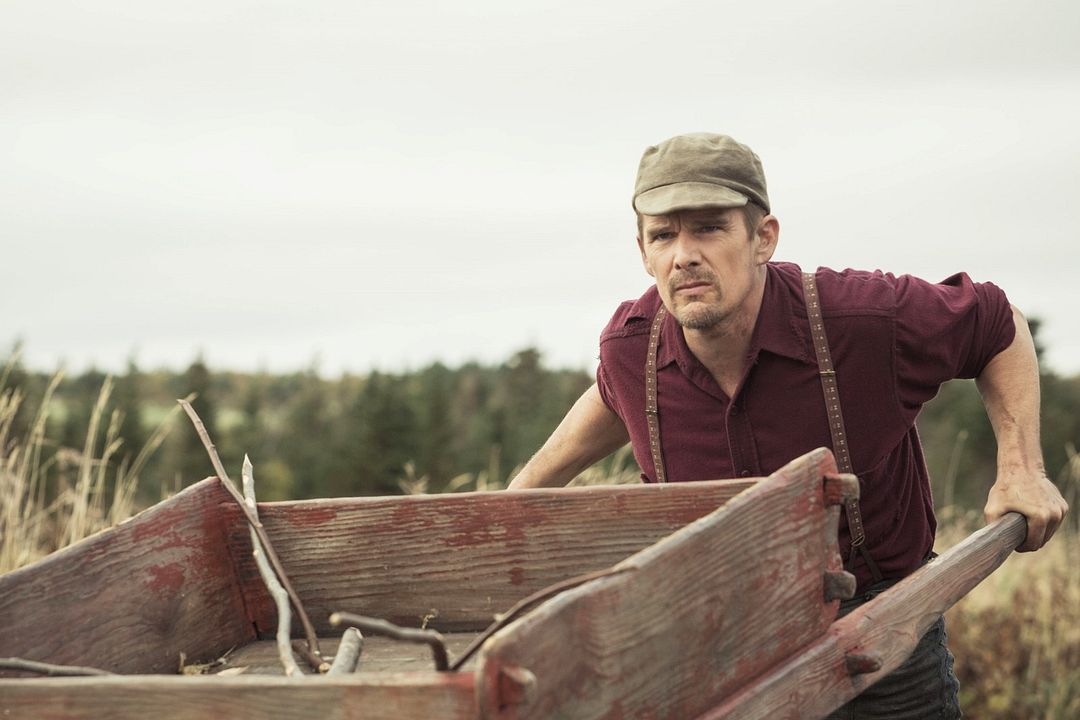 Maudie: El color de la vida : Foto Ethan Hawke