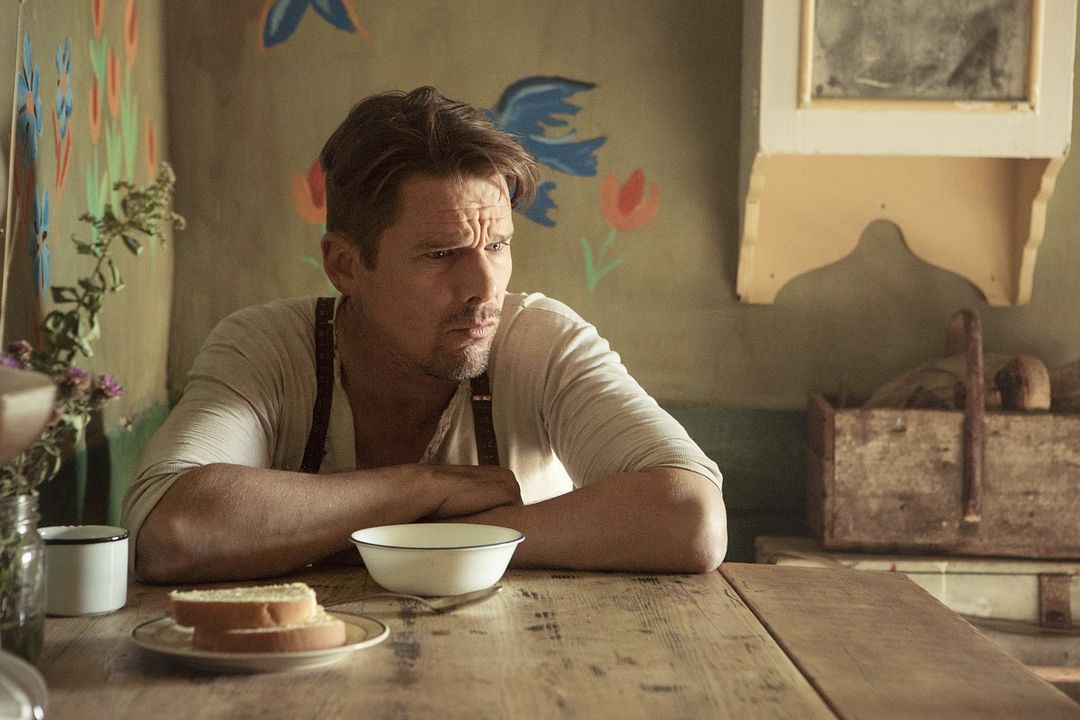 Maudie: El color de la vida : Foto Ethan Hawke