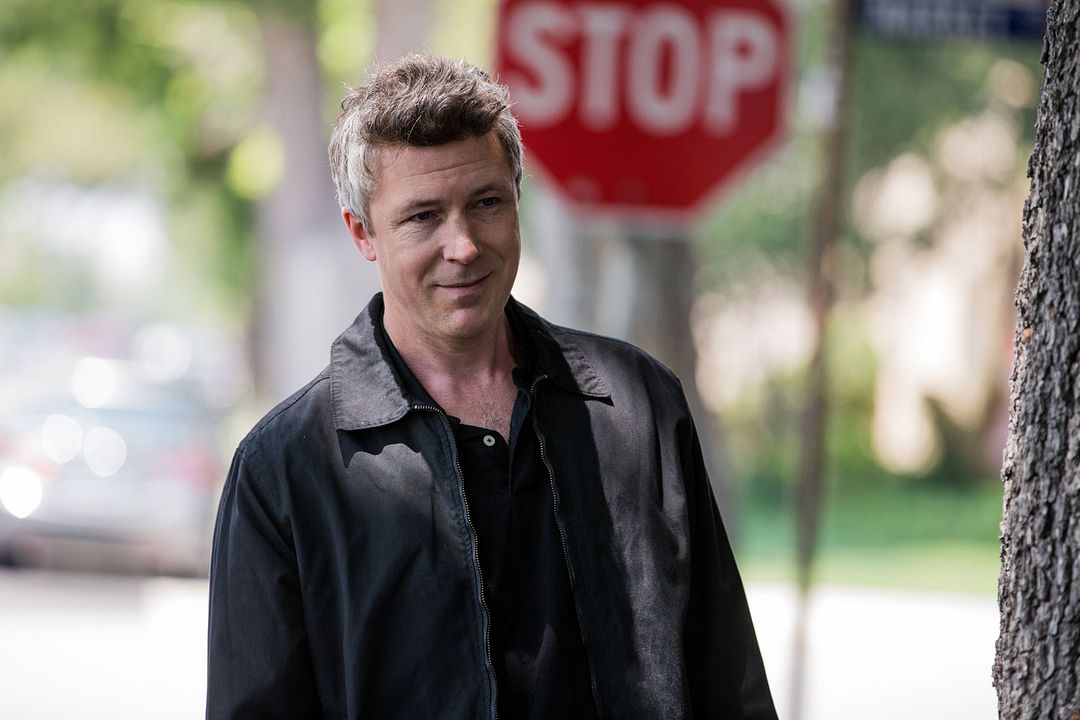 Amantes : Foto Aidan Gillen