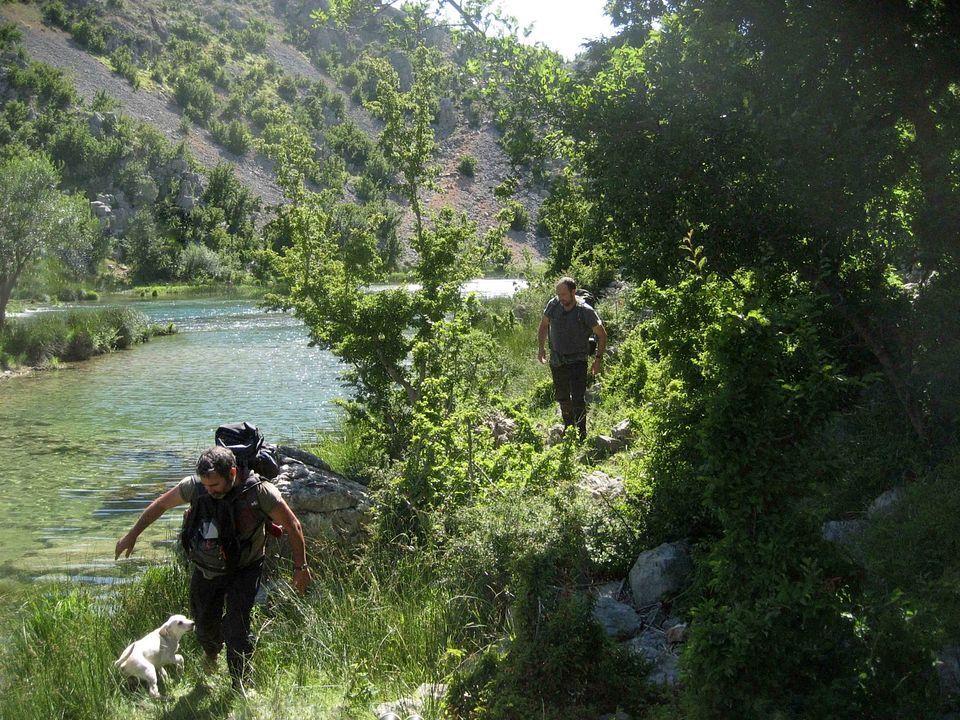Río arriba : Foto Sergi López