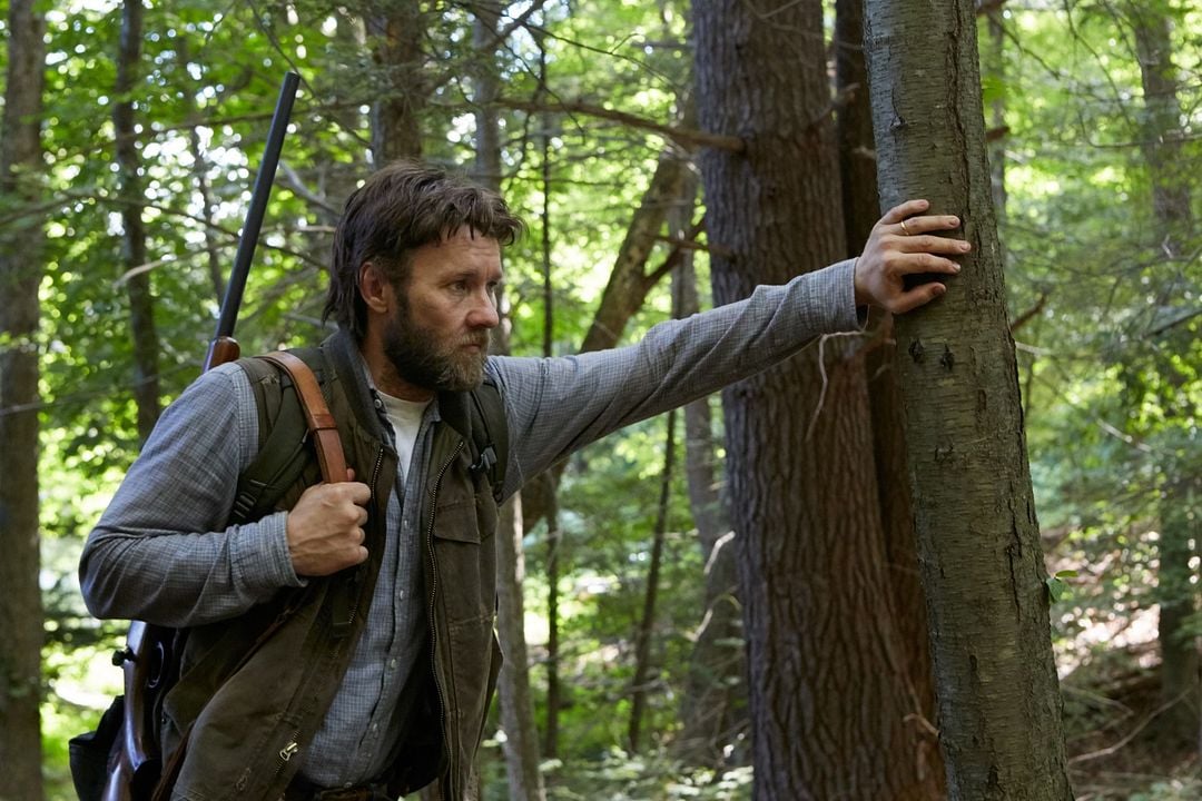 Viene de noche : Foto Joel Edgerton