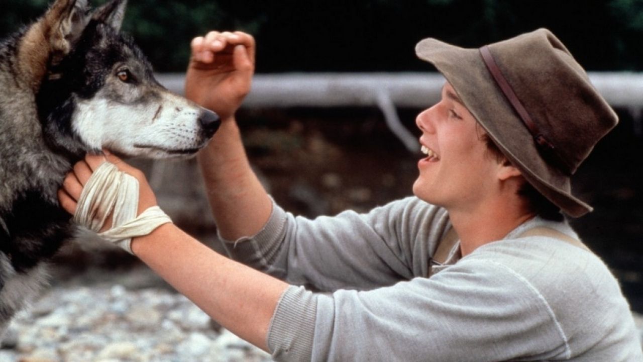 Colmillo Blanco : Foto Ethan Hawke