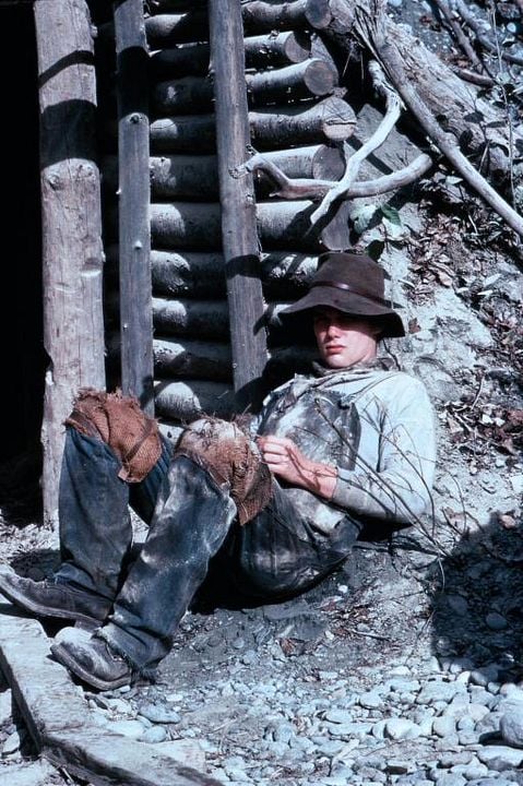 Colmillo Blanco : Foto Ethan Hawke