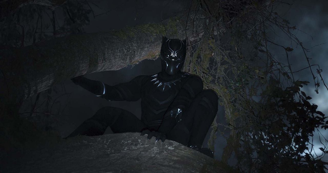 Pantera Negra : Foto Chadwick Boseman