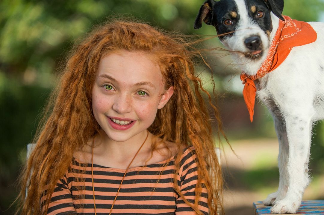 La pequeña traviesa : Foto