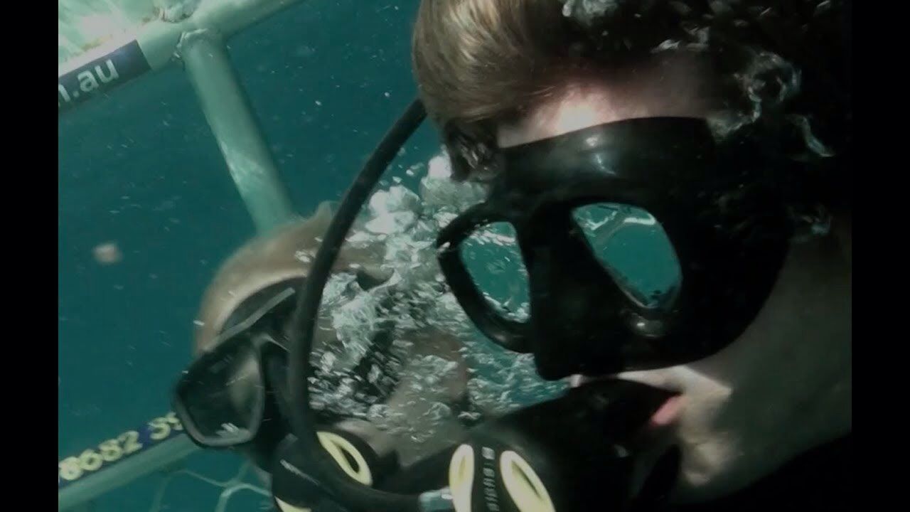 Terror profundo : Cobertura de revista