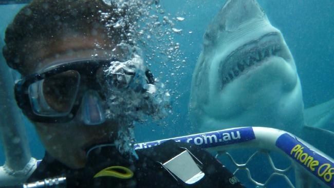 Terror profundo : Cobertura de revista