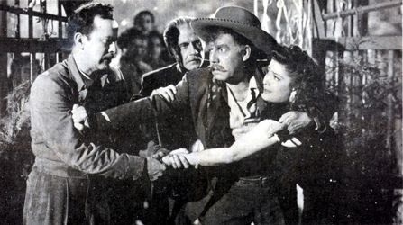 La oveja negra : Foto