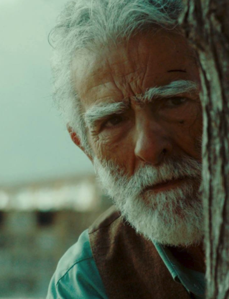 Los versos del olvido : Póster