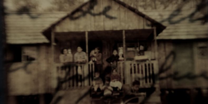 La danza del hipocampo : Foto