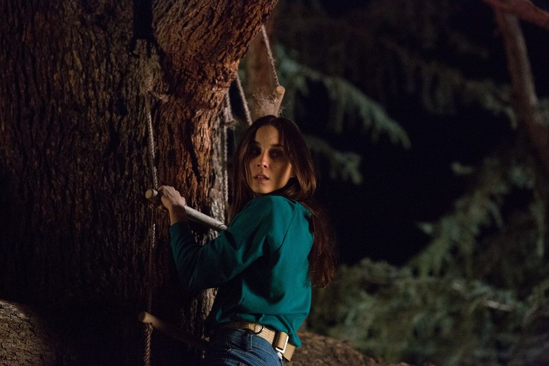 Foto Troian Bellisario