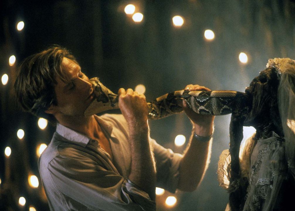 La Serpiente y el Arco Iris : Foto