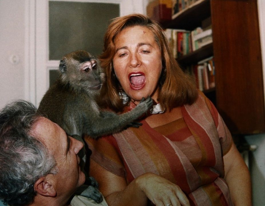 Muchos hijos, un mono y un castillo : Foto