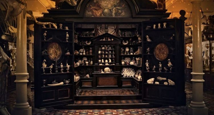 Wonderstruck: El museo de las maravillas : Foto