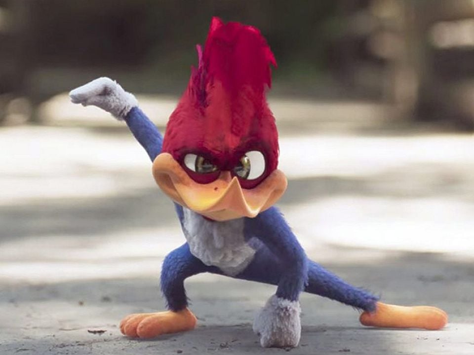 El pájaro loco: La película : Foto