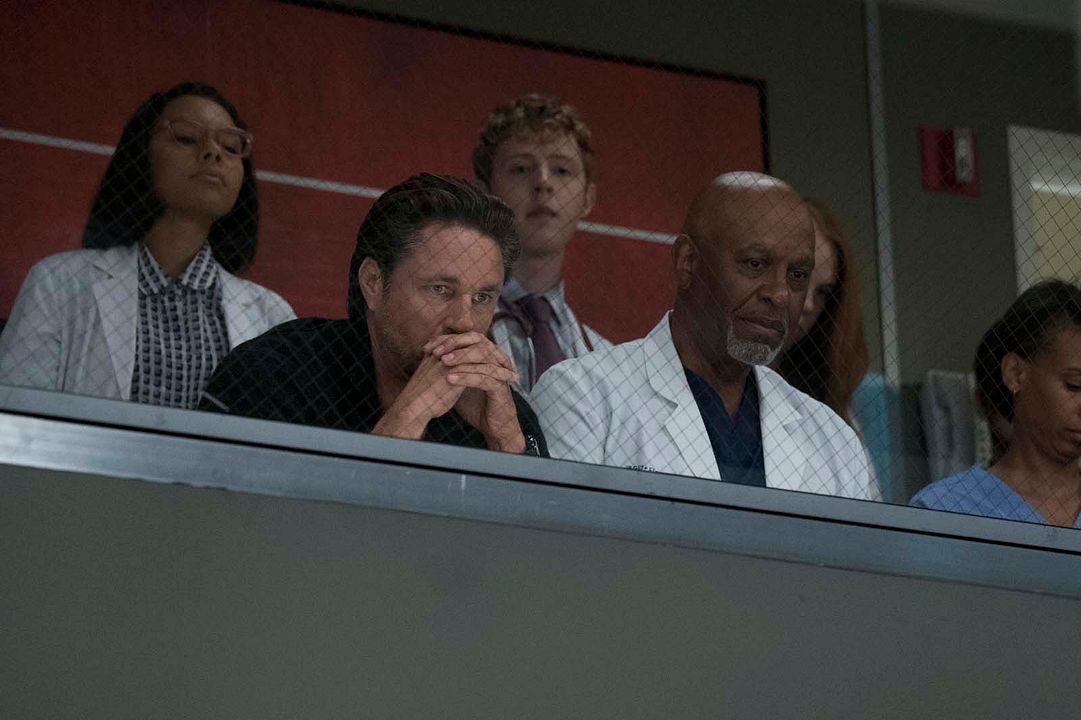 Grey's Anatomy : Foto James Pickens Jr., Martin Henderson
