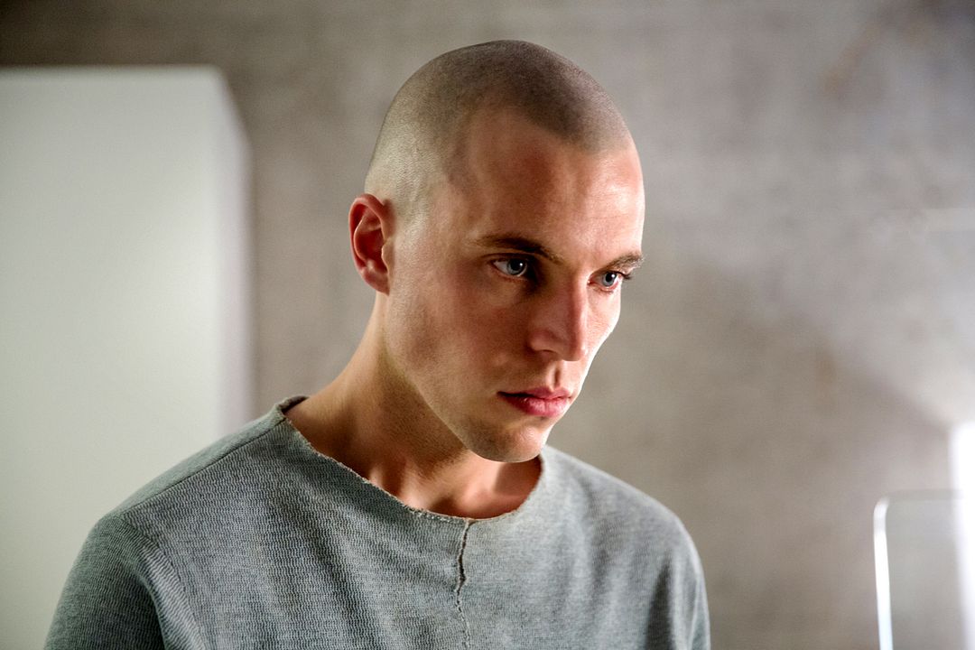 Proyecto Lázaro : Foto