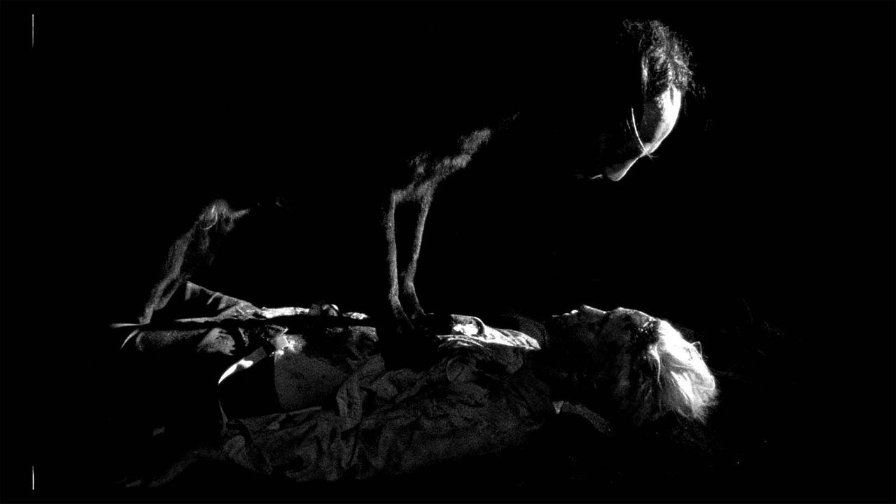 Los chicos salvajes : Foto