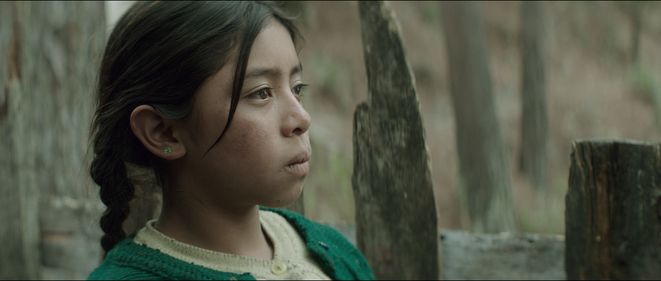 La casa más grande del mundo : Foto