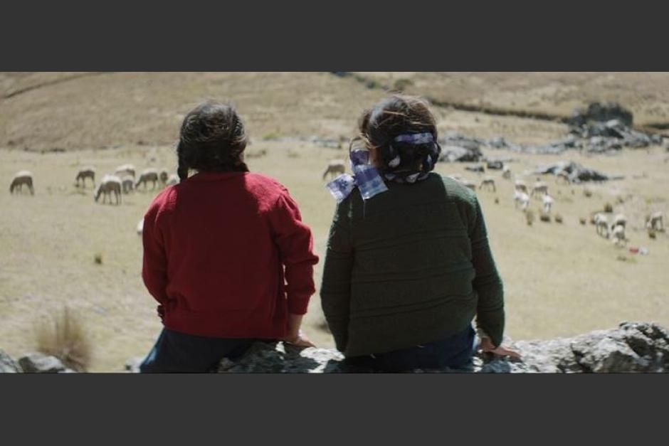 La casa más grande del mundo : Foto