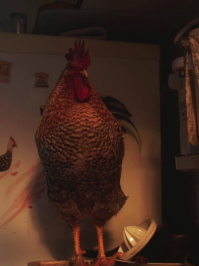 Quando o Galo Cantar Pela Terceira Vez Renegarás Tua Mãe : Póster