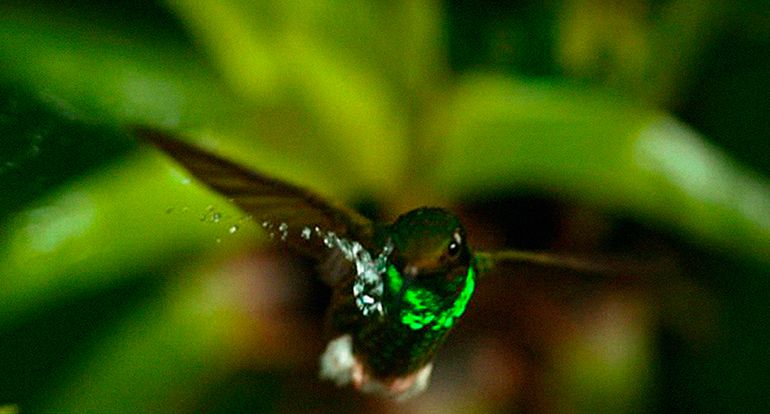 Un día maravilloso en la Tierra : Foto