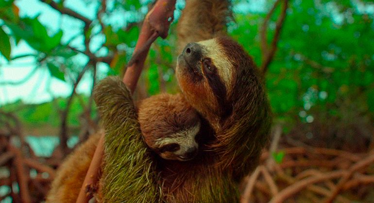 Un día maravilloso en la Tierra : Foto