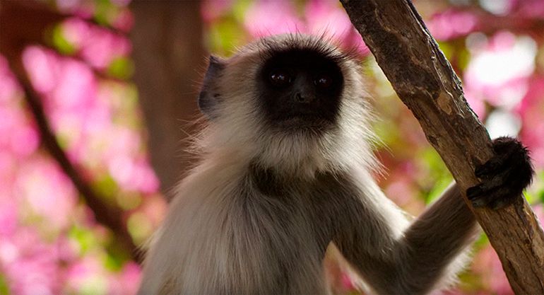 Un día maravilloso en la Tierra : Foto