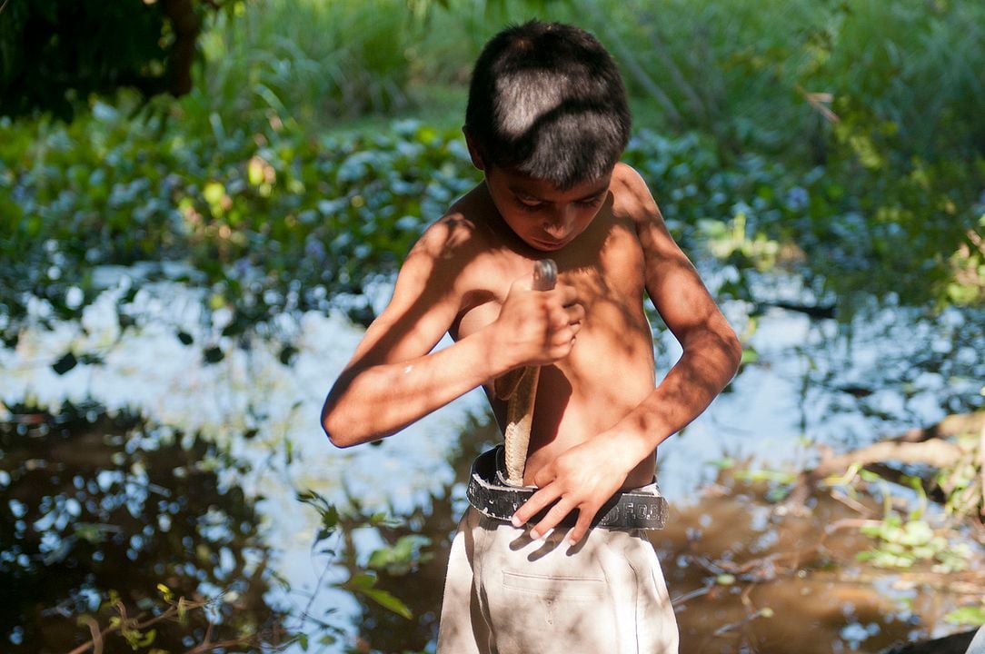 Ejercicios de memoria : Foto