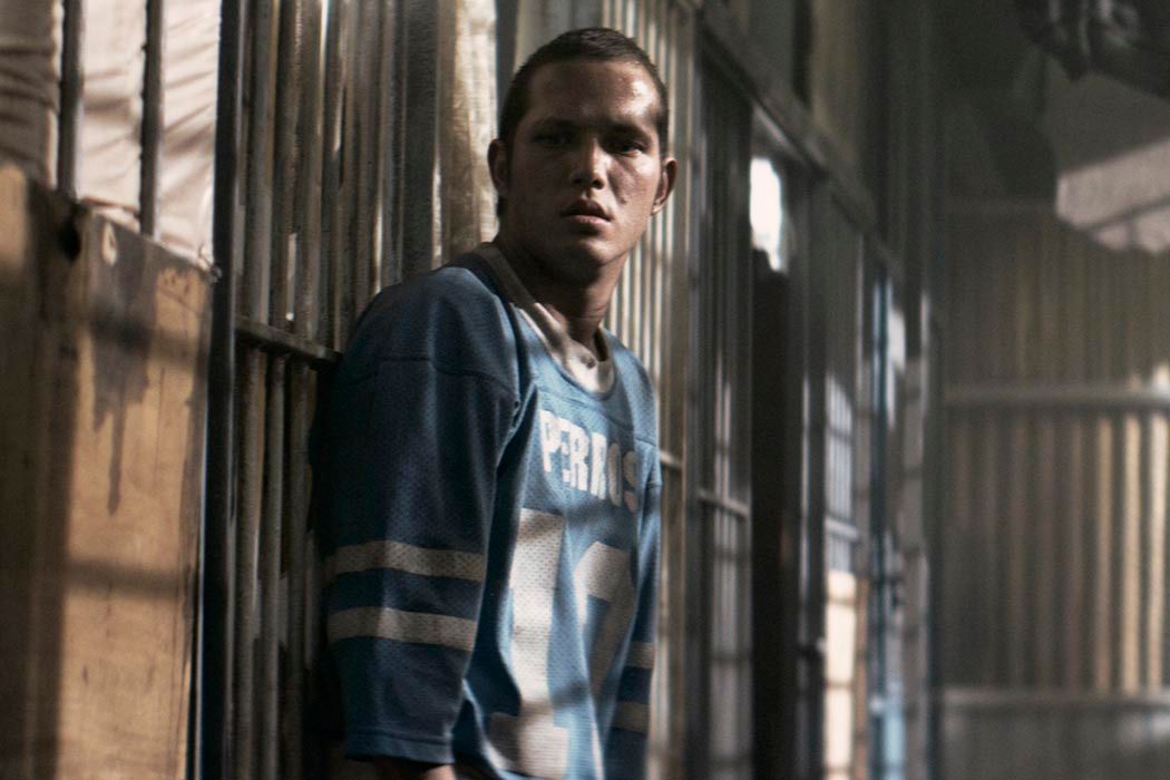 La 4ª Compañía : Foto