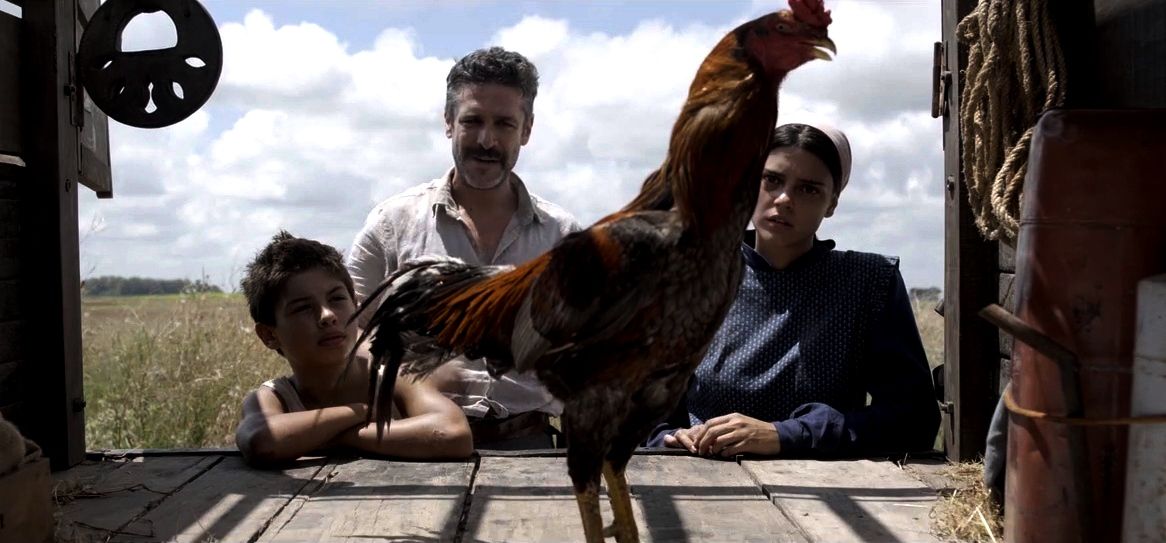 No te olvides de mí : Foto