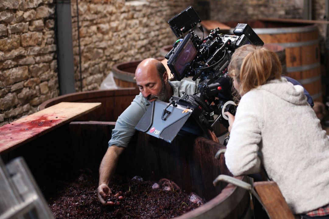 El viñedo que nos une : Foto