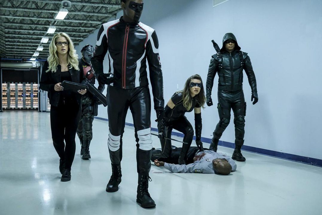 Arrow : Foto Juliana Harkavy