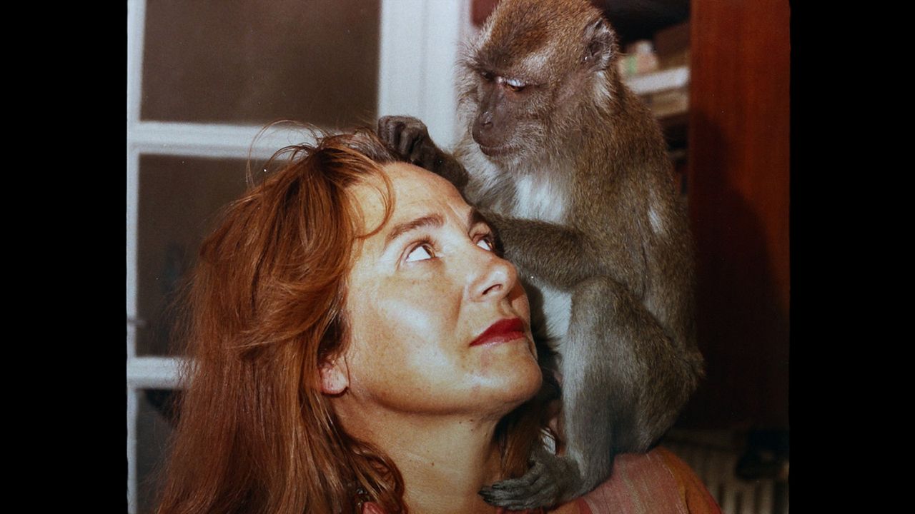 Muchos hijos, un mono y un castillo : Foto