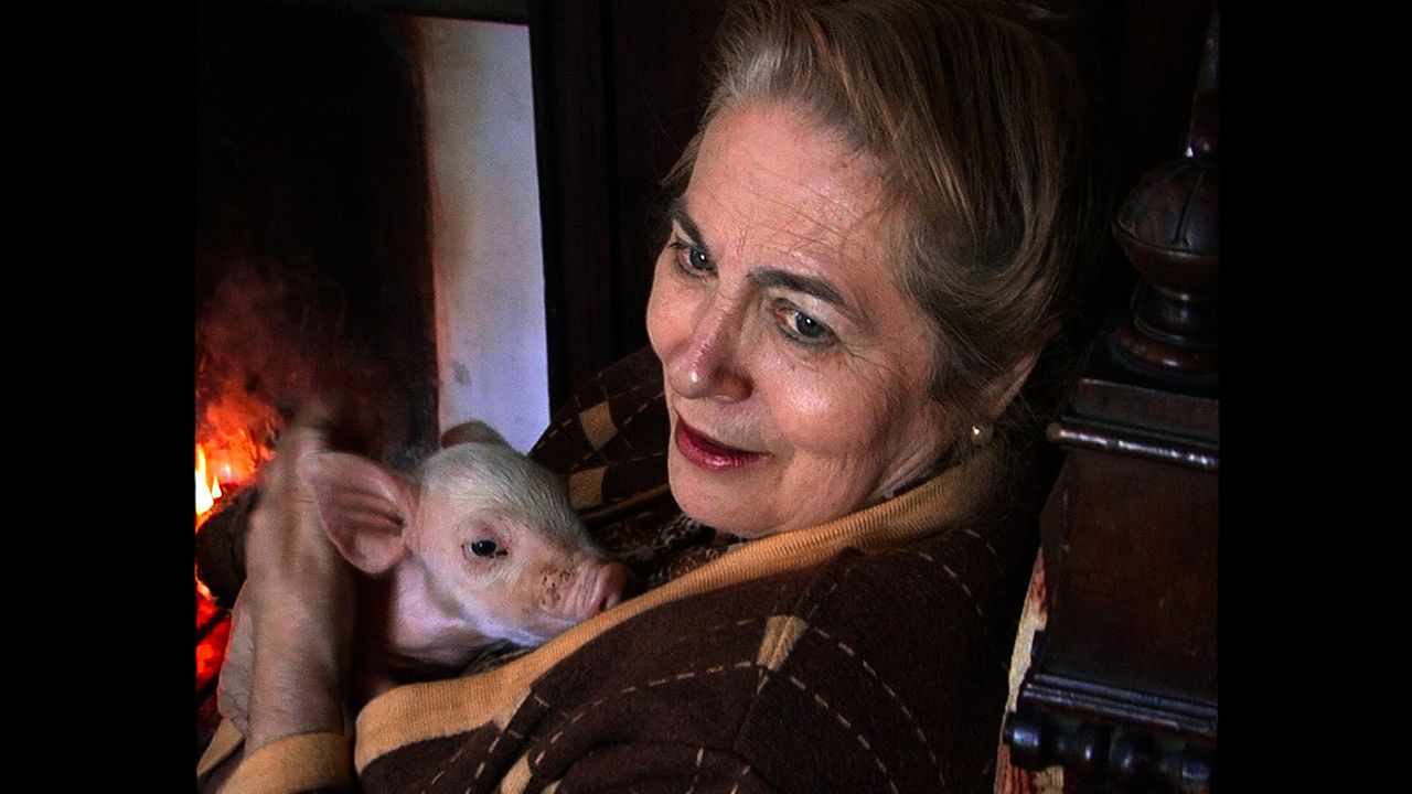 Muchos hijos, un mono y un castillo : Foto