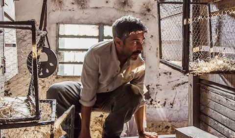 No te olvides de mí : Foto