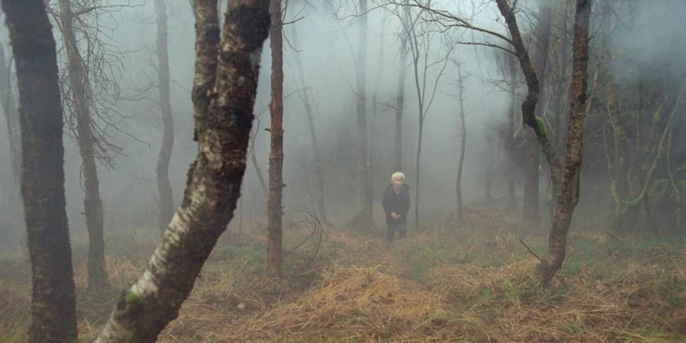En el valle de las sombras : Foto