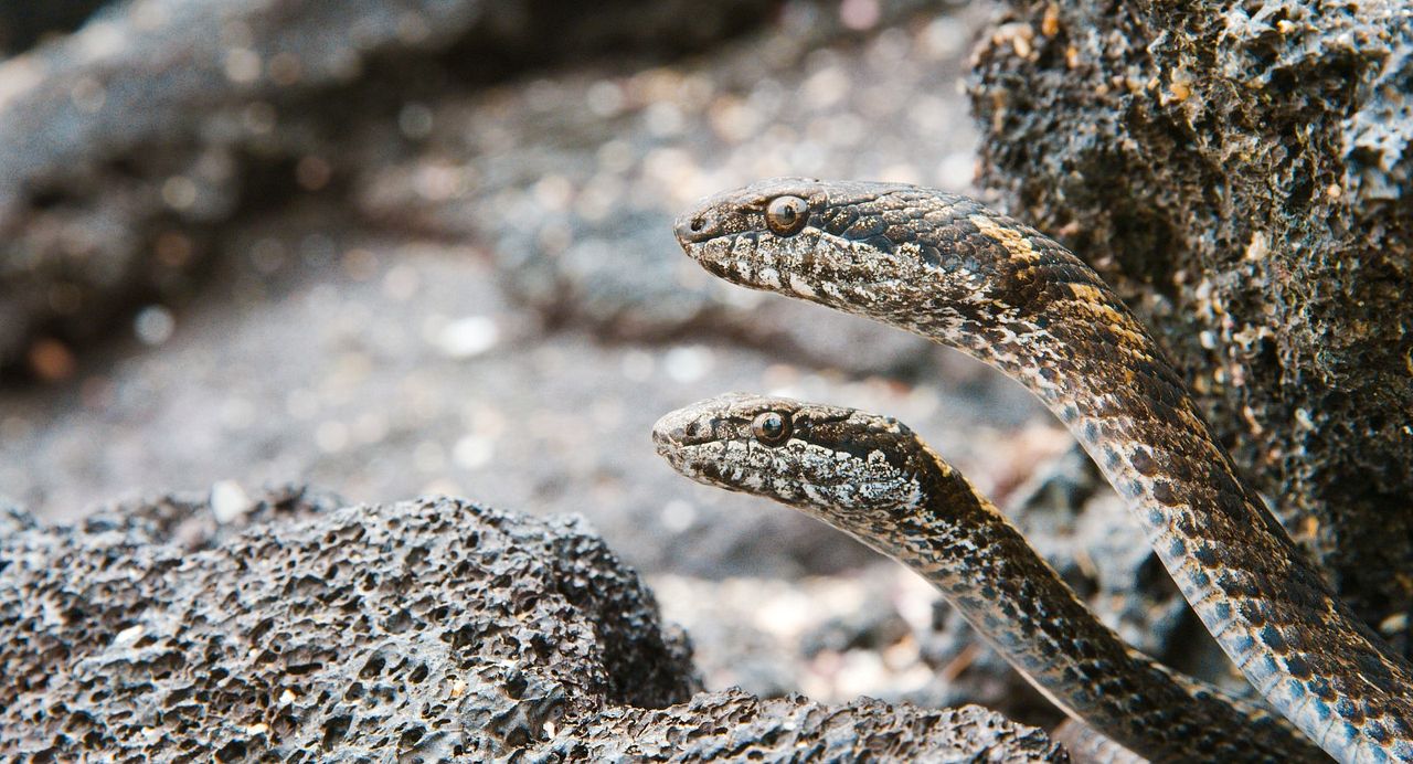 Un día maravilloso en la Tierra : Foto
