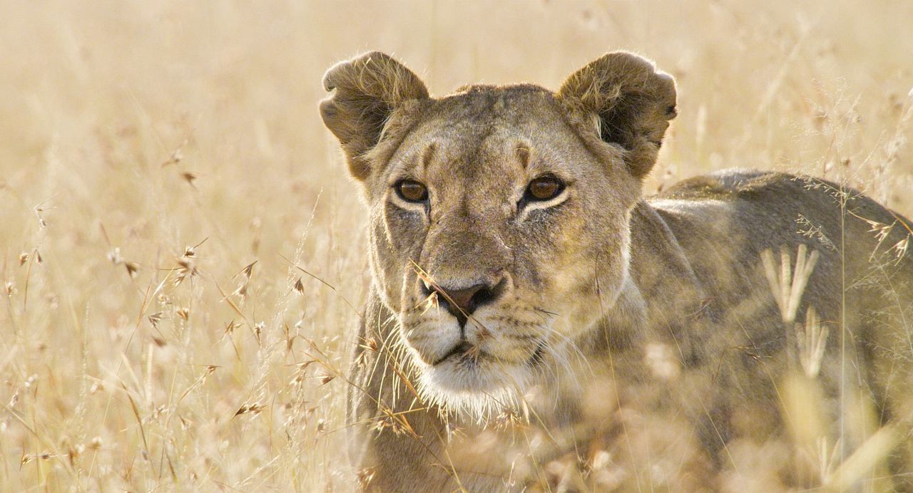 Un día maravilloso en la Tierra : Foto