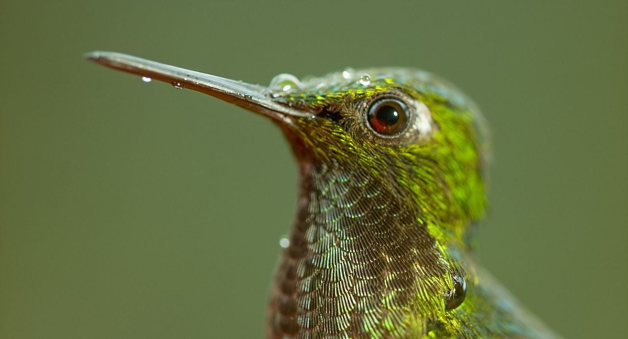 Un día maravilloso en la Tierra : Foto