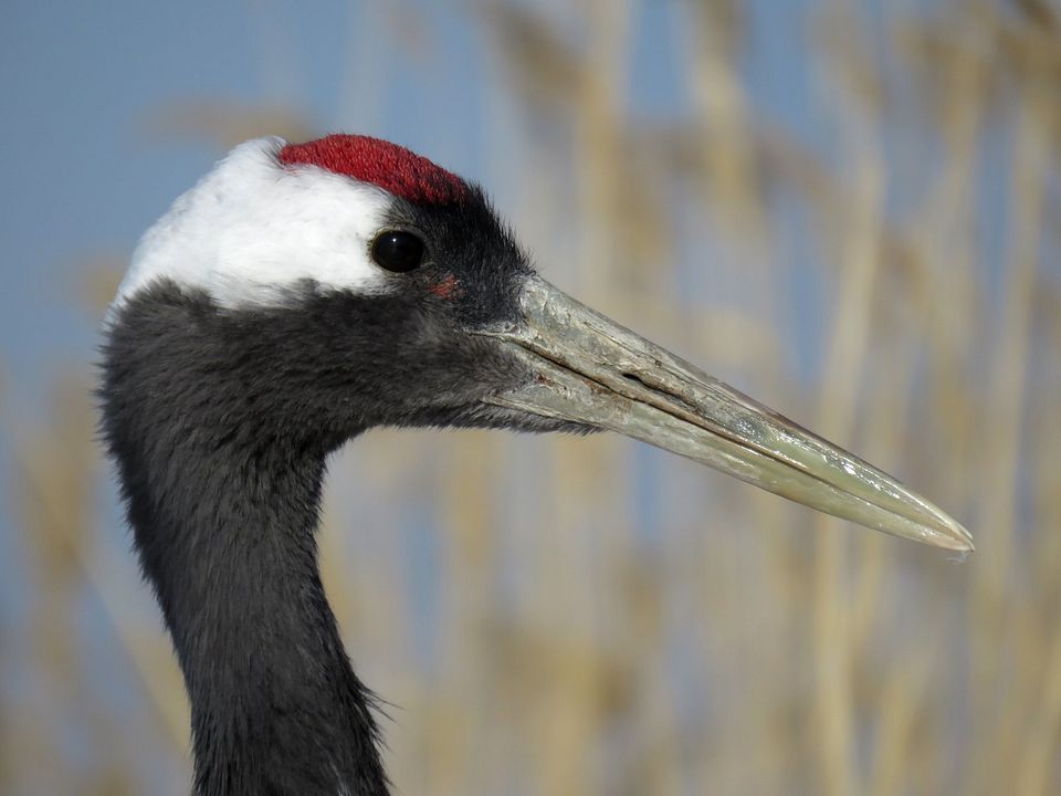Un día maravilloso en la Tierra : Foto