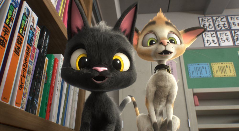 Gatos. Un viaje de vuelta a casa : Foto