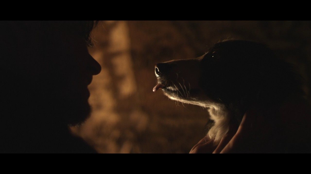 Cometa: Él, su perro y su Mundo : Foto