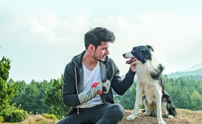 Cometa: Él, su perro y su Mundo : Foto