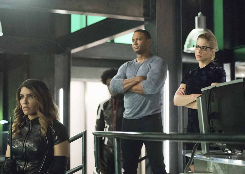 Arrow : Foto Juliana Harkavy