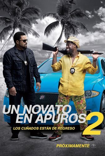 Un novato en apuros 2 : Póster