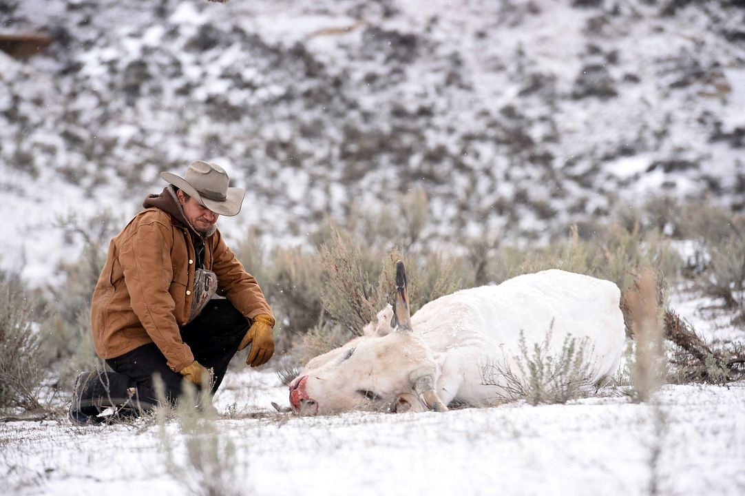 Muerte misteriosa : Foto Jeremy Renner