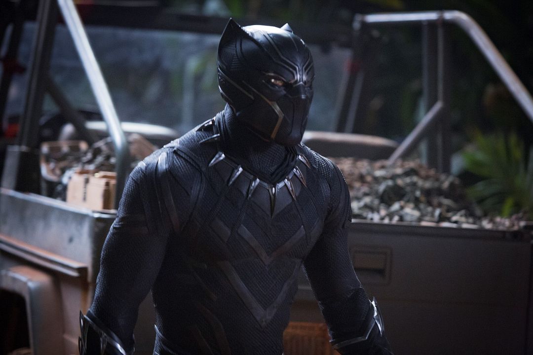 Pantera Negra : Foto Chadwick Boseman
