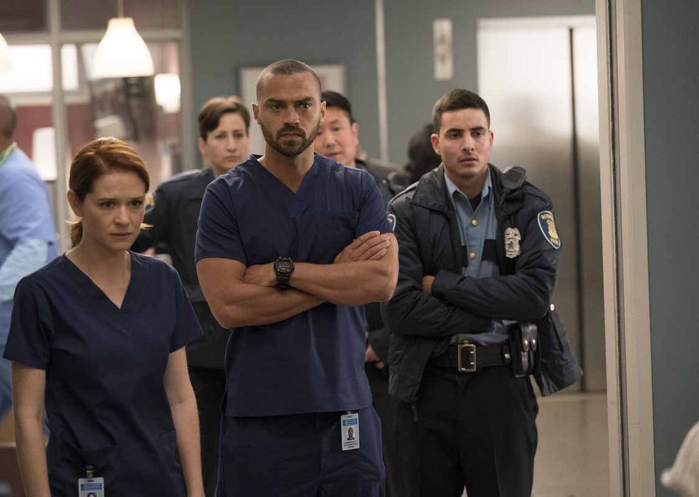 Grey's Anatomy : Foto Jesse Williams, Sarah Drew