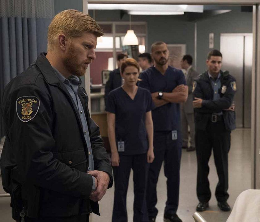 Grey's Anatomy : Foto Jesse Williams, Sarah Drew